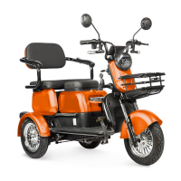 Электротрицикл Rutrike Gelbert Sun 48V/60V 650Вт Оранжевый